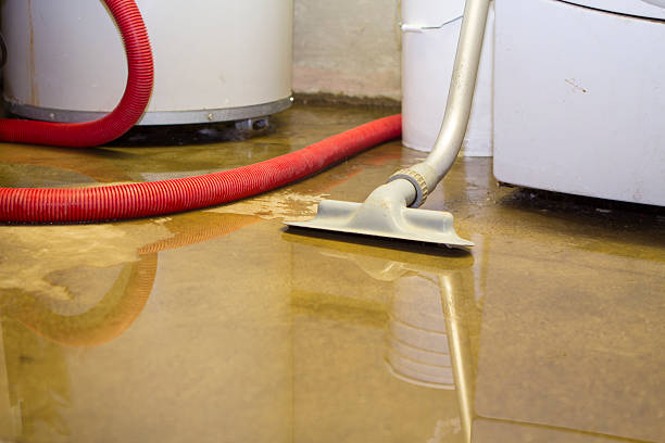 Best Carpet and Upholstery Water Damage Restoration in Radisson, NY